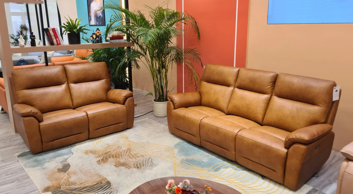 Primo Leather Power Recliner